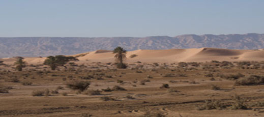 Arabah Desert