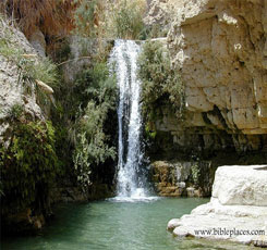 Ein Gedi Oasis
